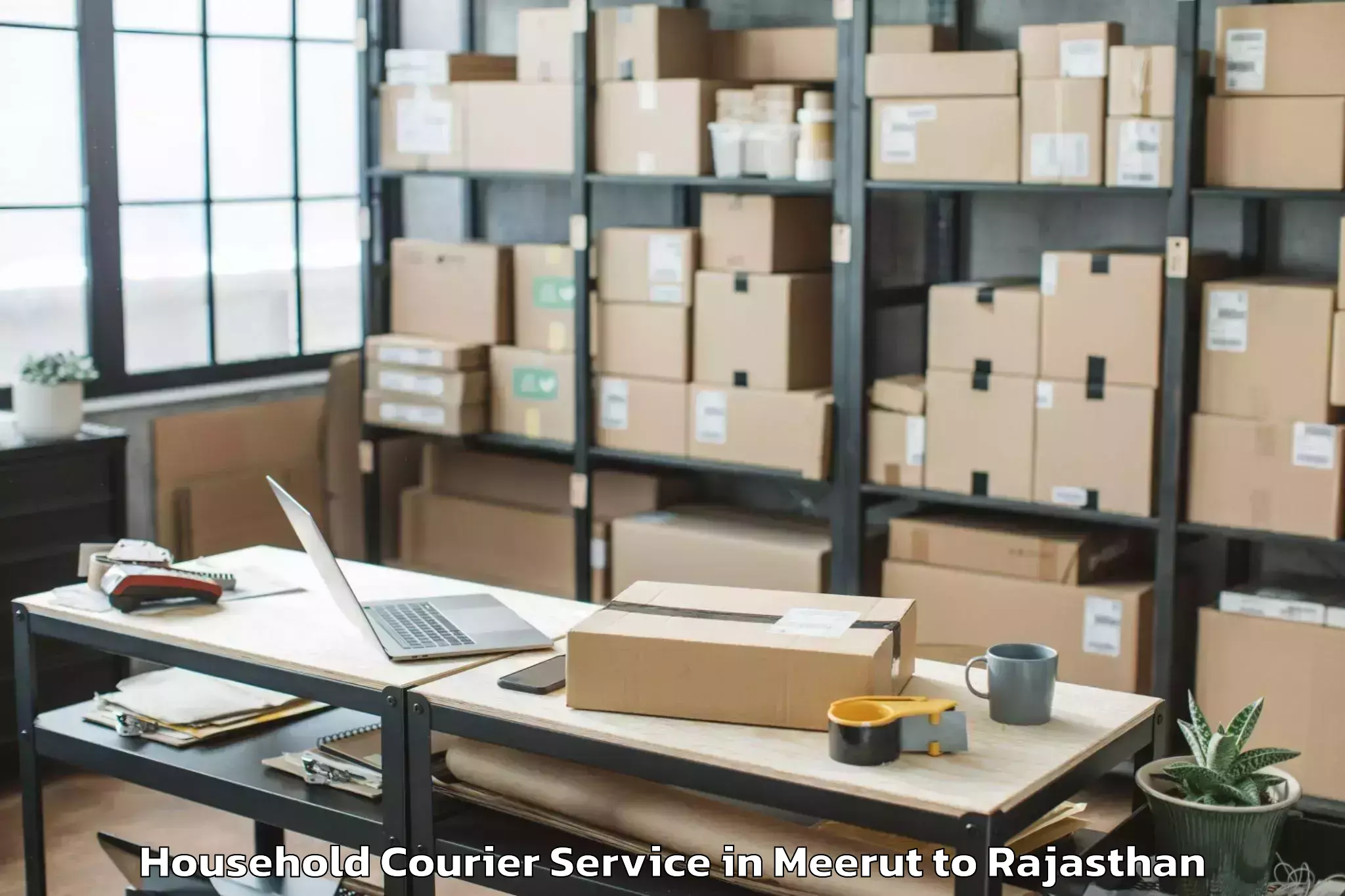 Easy Meerut to Salumbar Household Courier Booking